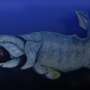 Rising deep-ocean oxygen levels likely opened up new marine habitats and spurred speciation