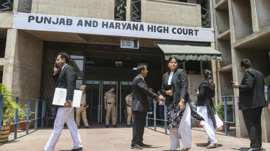 Punjab-Haryana HC: Cow's Unique Status Linked to Peace and Harmony