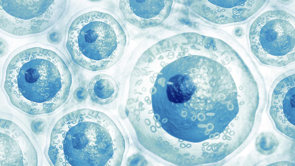 ccmb’s-seminal-work-on-programmed-cell-revival-offers-hope-for-regenerative-medicine