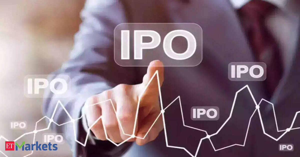 Why are FPIs betting big on Indian IPOs despite market uncertainties?