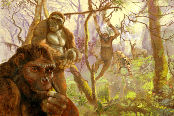 New Research Reveals How Reshaping Pelvis Helped Human Ancestors Walk Upright