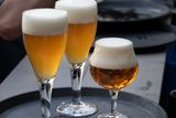 This Is Why Foam on Belgian Beer Lasts – And Foam on Lagers Does Not