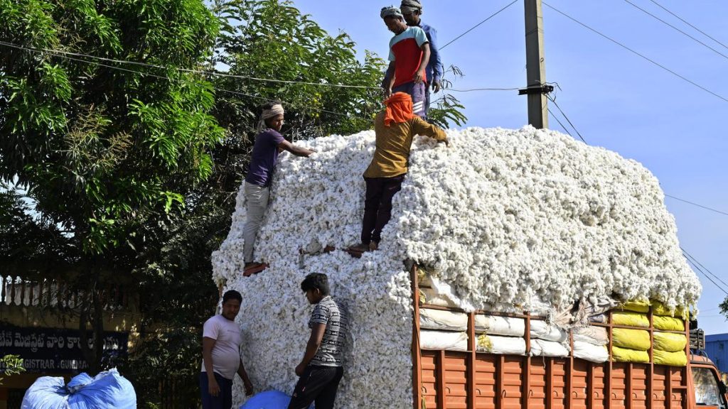 Government Extends Duty-Free Cotton Imports Until December 31