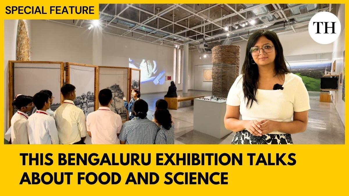 calorie,-a-year-long-exhibit-questions-our-relationship-with-food