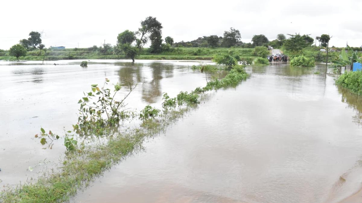 rain-fury-leaves-12,413-acres-of-farm-land-under-sand,-breached-tanks-and-damaged-roads-in-nizamabad