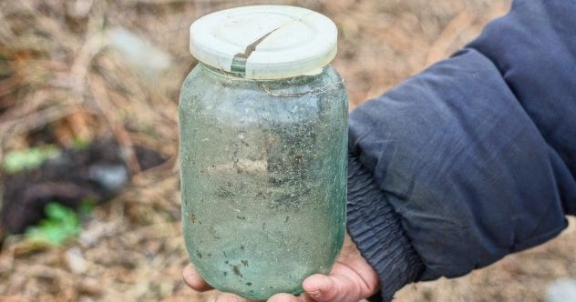 10 Times Food Ignored Its Expiration Date to Live Forever