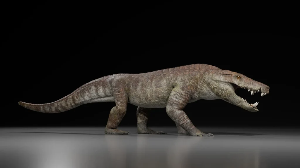 70-million-year-old crocodile relative with dinosaur-crushing jaws found in Argentina