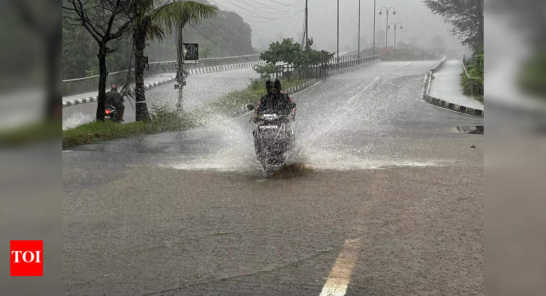 With 58mm rain in 24hrs, Ponda crosses 3,000mm-mark