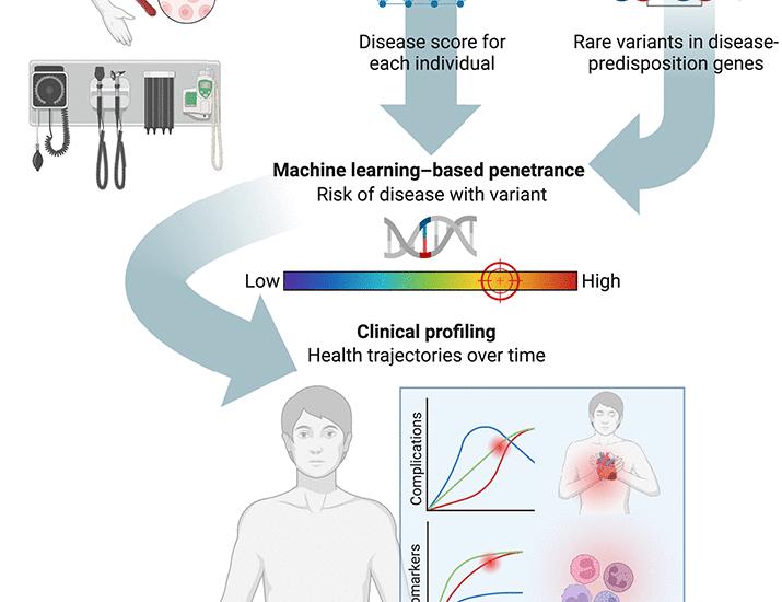 Machine learning–based penetrance of genetic variants | Science