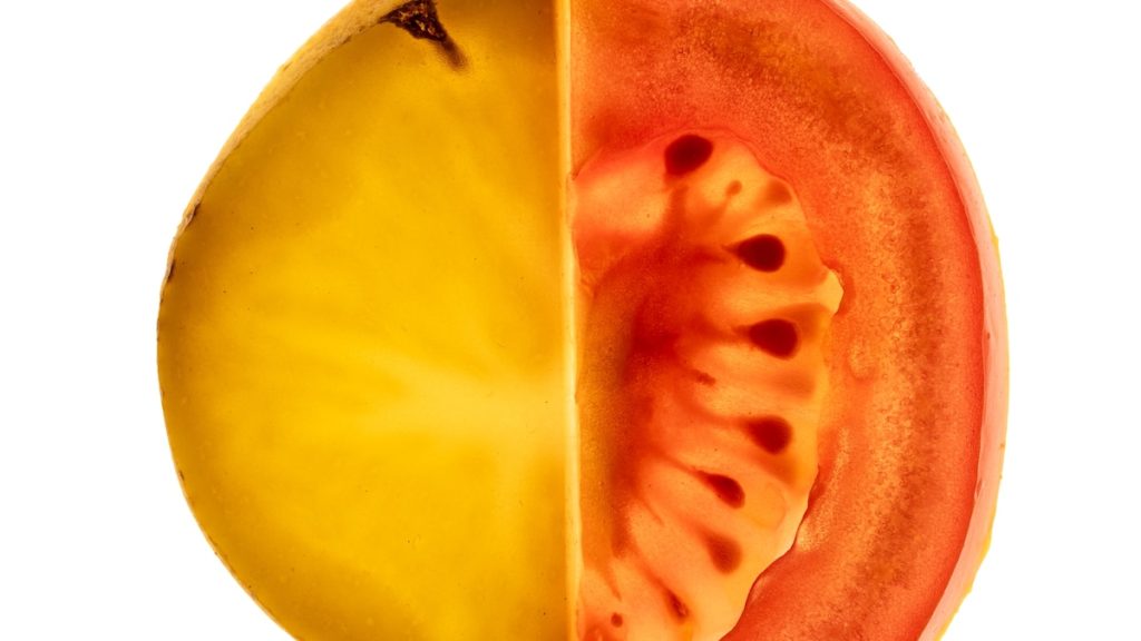 Scientists finally know where potatoes come from—and the answer is very weird
