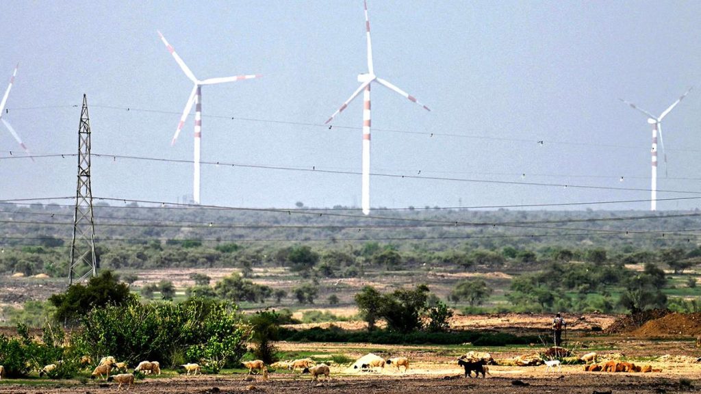 Thar Desert Wind Farms Record World's Highest Bird Mortality Rates