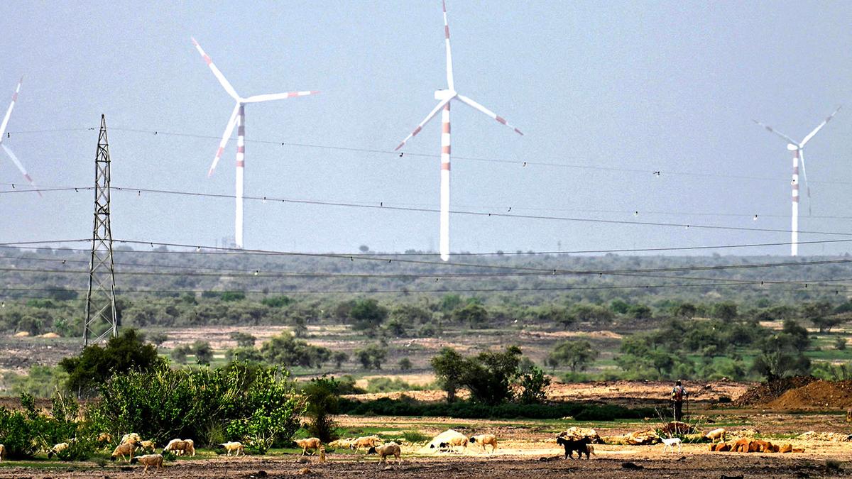 world’s-highest-bird-death-rates-at-thar-desert-wind-farms