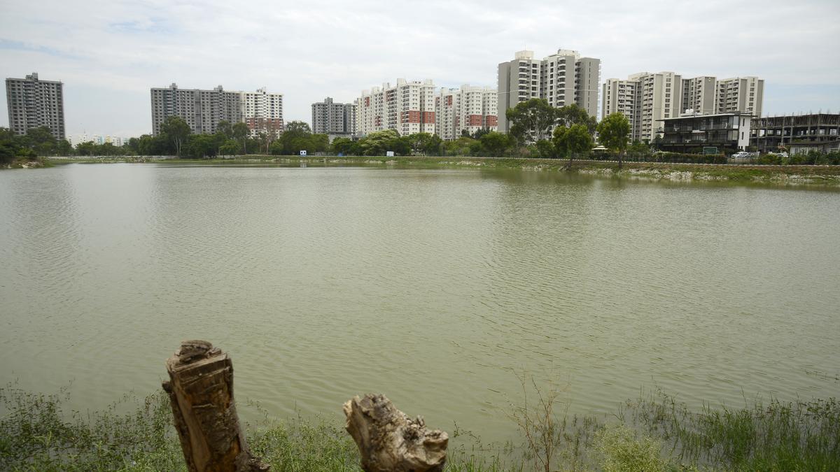 govt.-issues-notification-for-buffer-zones-around-drains