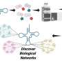 Automated tool enables rapid, large-scale profiling of disease-linked RNA modifications