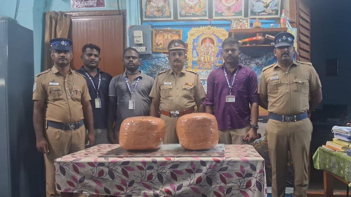 police-seize-16-kg-of-ganja-at-katpadi-railway-station