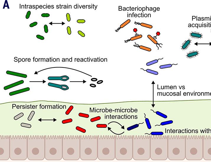 Dissecting microbial communities with single-cell transcriptome analysis | Science
