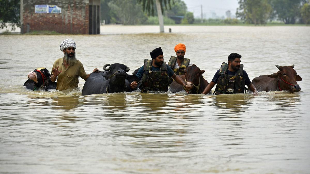 encroachments,-climate-change-may-have-led-to-punjab’s-worst-floods-in-decades