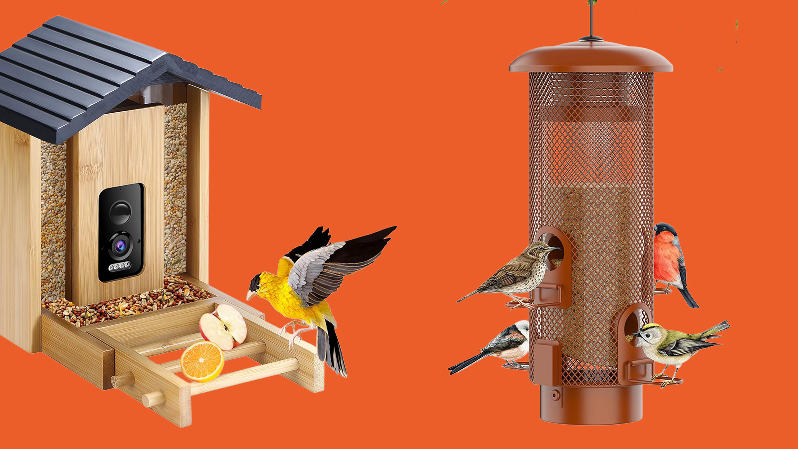 Fall is perfect for putting out bird feeders and Amazon has a bunch on clearance