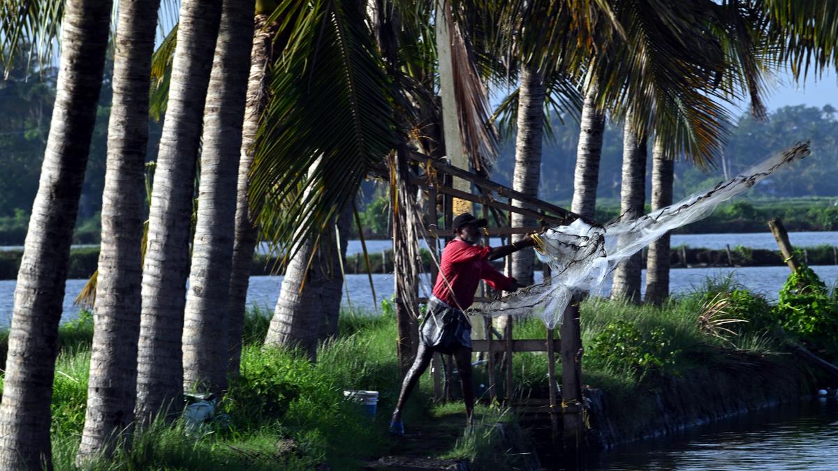 lessons-for-india:-how-kerala-is-tackling-rapid-urbanisation