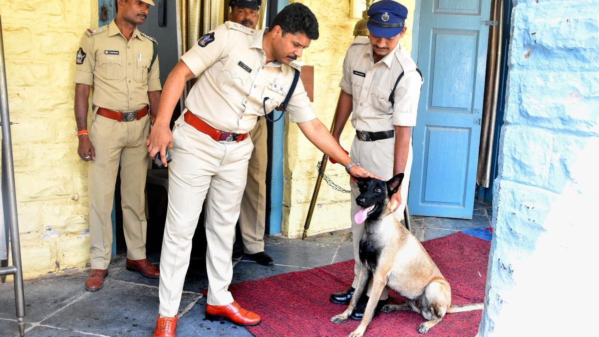 new-member-inducted-into-kadapa-canine-team