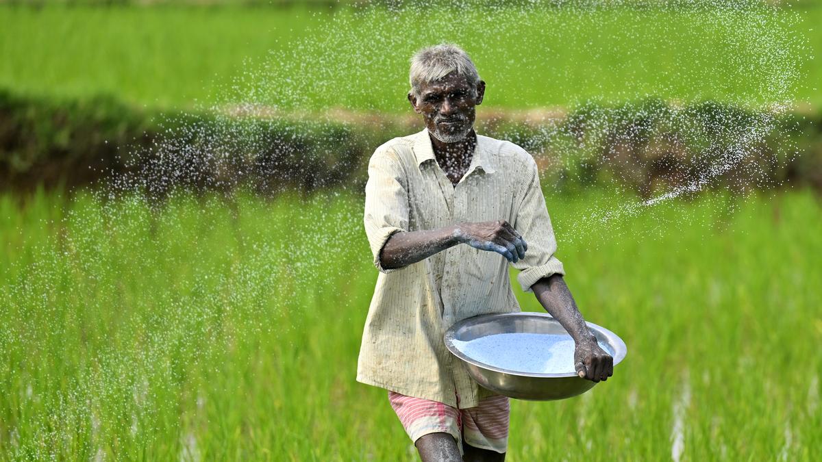 state-gets-relief-as-27,640-mt-urea-to-arrive-in-the-next-four-days