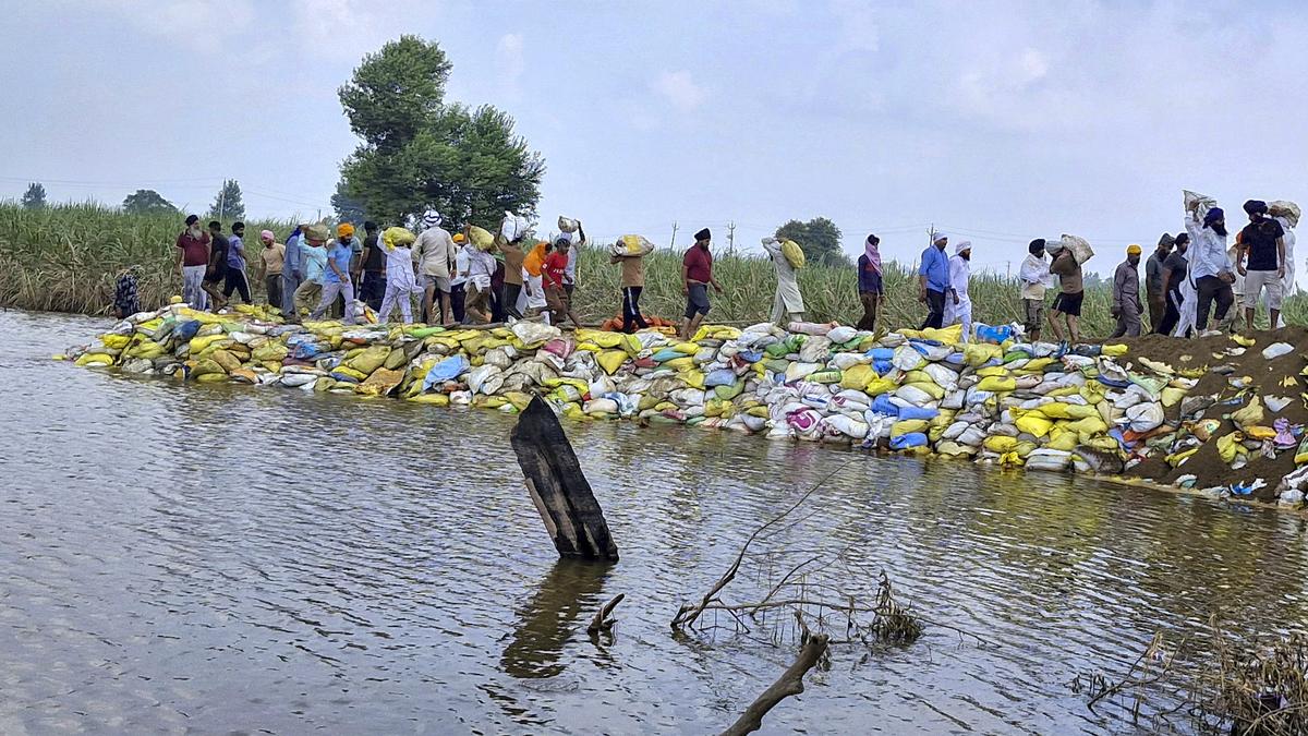 aap-bjp-spar-over-financial-aid-for-punjab-flood-victims