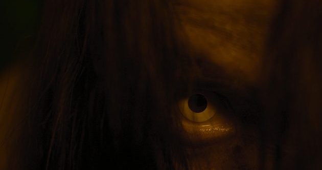 10 Oddly Specific Horror Movie Subgenres You’ve Probably Never Heard Of