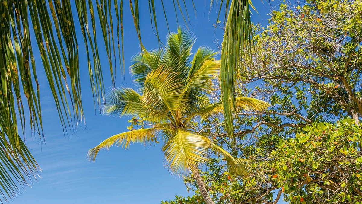 5 Caribbean island alternatives for a crowd-free escape