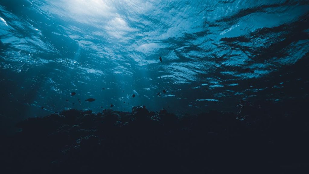 India Secures Rights to Explore Indian Ocean for Valuable Metals