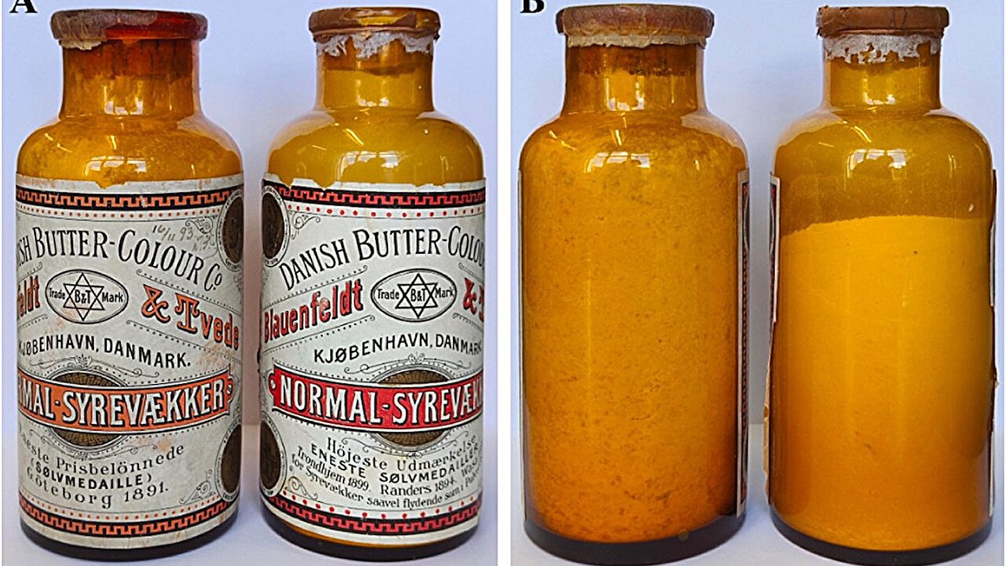 130-year-old butter bacteria discovered in Danish basement