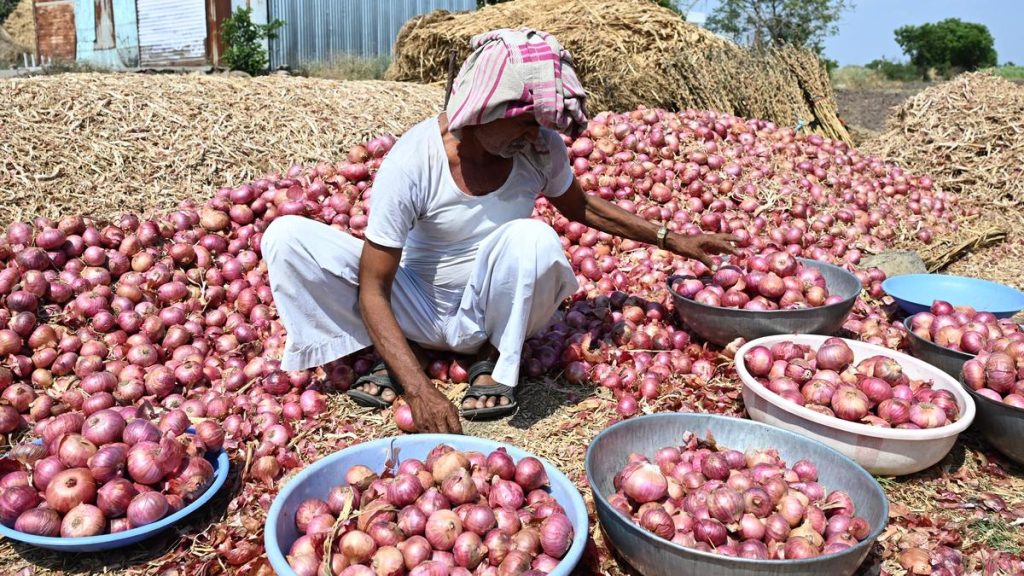 Minister Rawal Urges NAFED, Maharashtra Govt to Align on Onion Market Policies