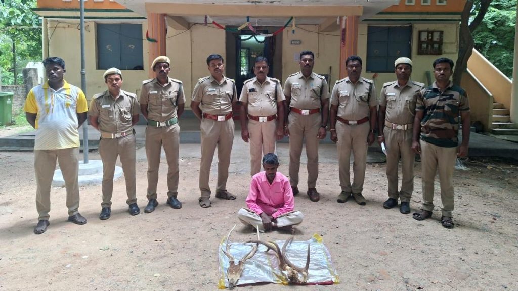 Man Arrested for Possessing Spotted Deer Heads