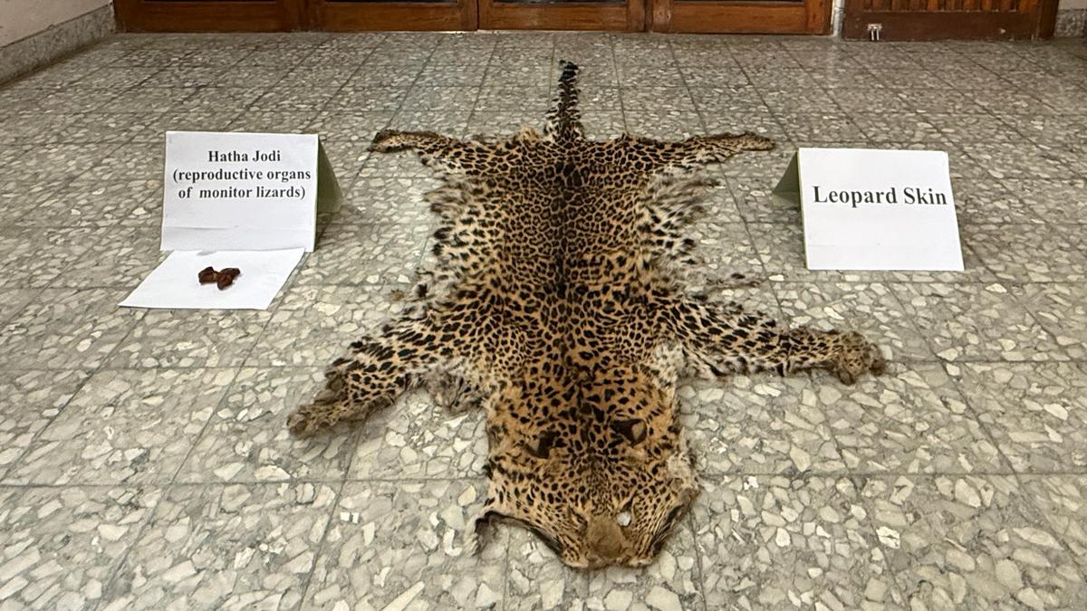 dri-patna-apprehends-two-suspects-involved-in-wildlife-trafficking