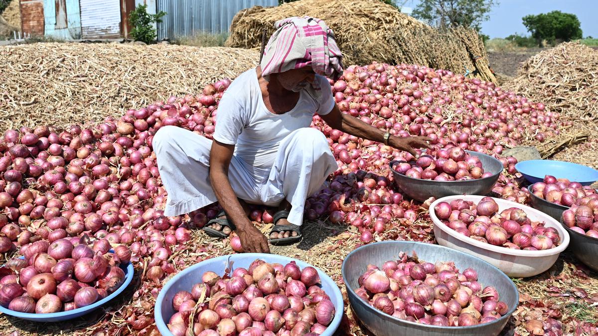 why-are-maharashtra’s-onion-farmers-protesting?-|-explained