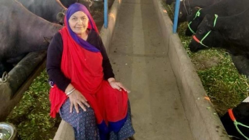 Gujarat Woman Turns Milk Sales into ₹1.94 Crore Success, Targets ₹3 Crore