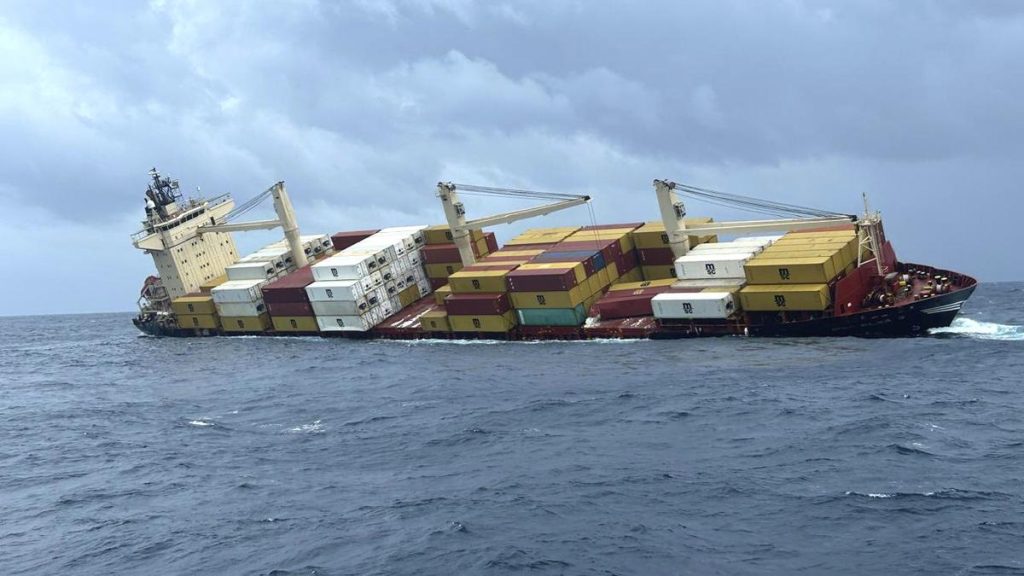 Report Highlights Ecological Impact of May Shipwreck off Kerala Coast