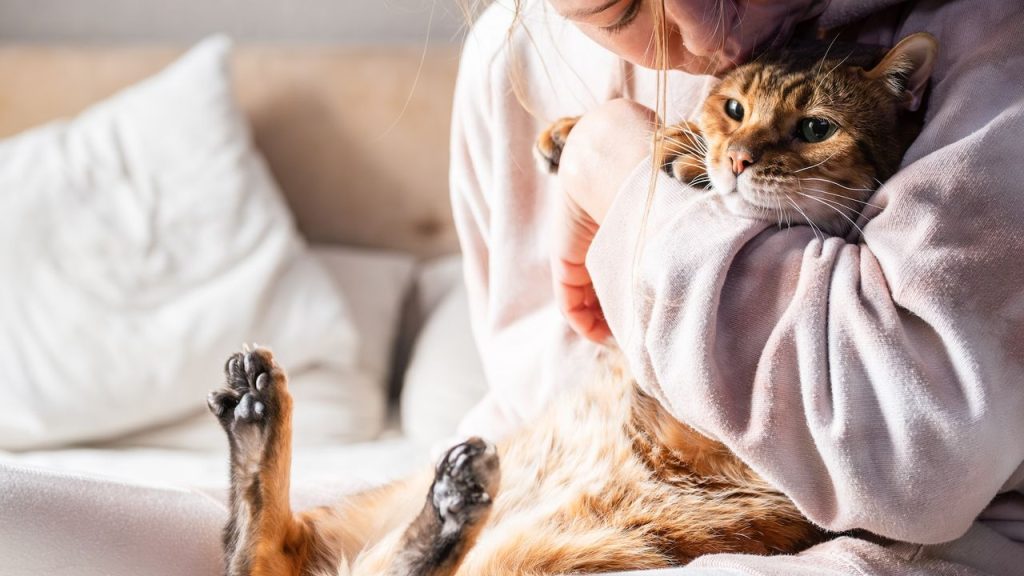Owning a cat will change your brain. Here’s how.