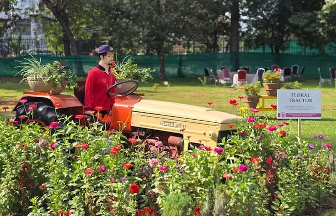 Srinagar's Waste to Wonder garden turns junk into floral art