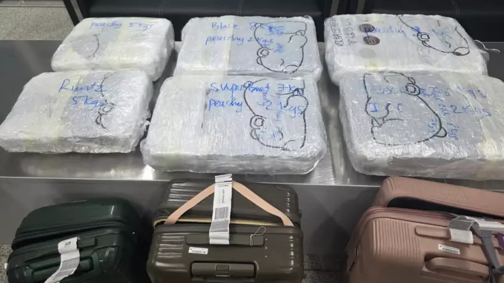 Hydroponic cannabis worth Rs 52 crore seized at Chennai, Delhi airports