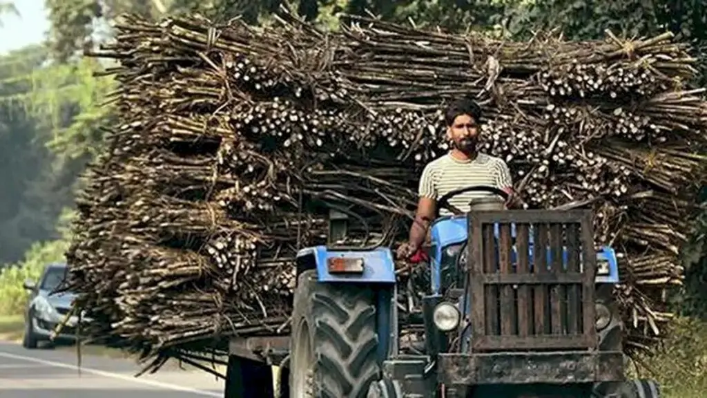 Indian sugar mills shift to biorefineries for higher value products