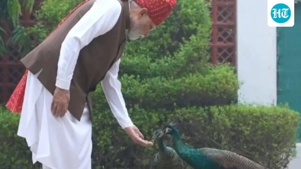 PM Modi feeds animal 'friends' before Independence Day