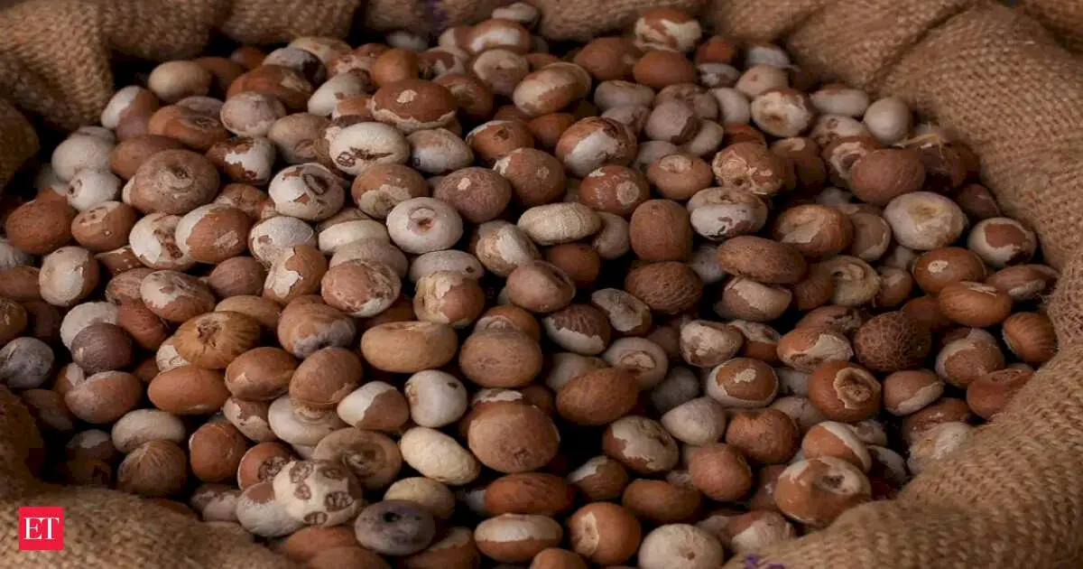DRI uncovers Rs 2,500 crore areca nut duty evasion racket