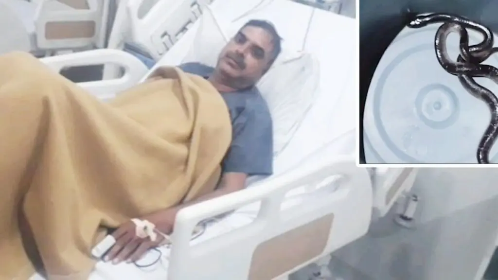Gwalior police constable survives two snake bites with AI help