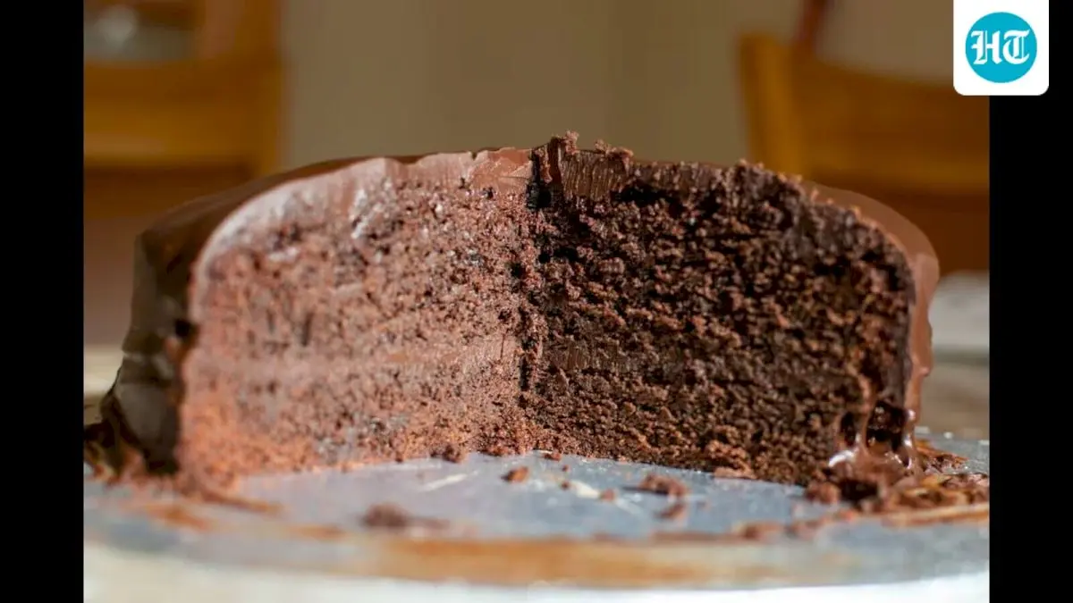 FDA raids bakery after 11 ill from cake with dead lizard