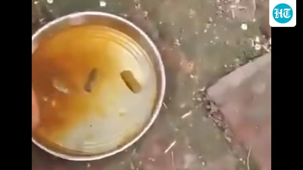 Sitapur principal, cook suspended over poor mid-day meal
