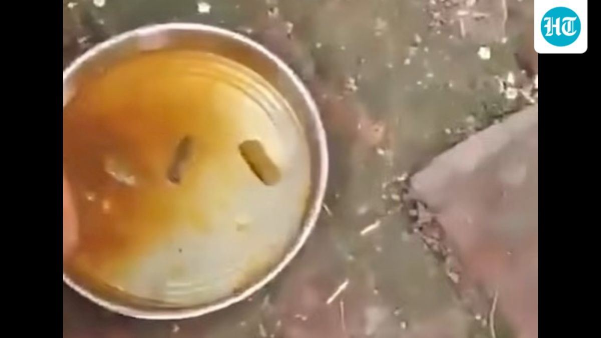 Sitapur principal, cook suspended over poor mid-day meal