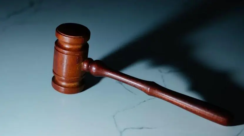 Delhi HC warns against misuse of personality rights for gagging parody