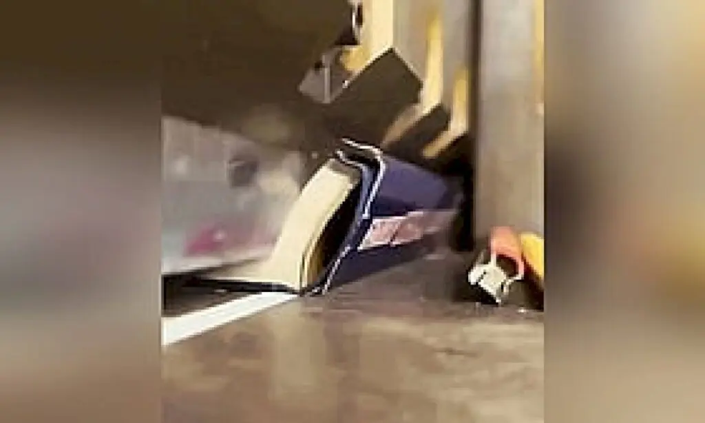 AI companies destroy physical books for data training, says Lawrence Liang