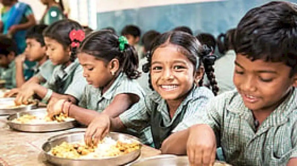 Tamil Nadu considers chicken biriyani in school meal scheme