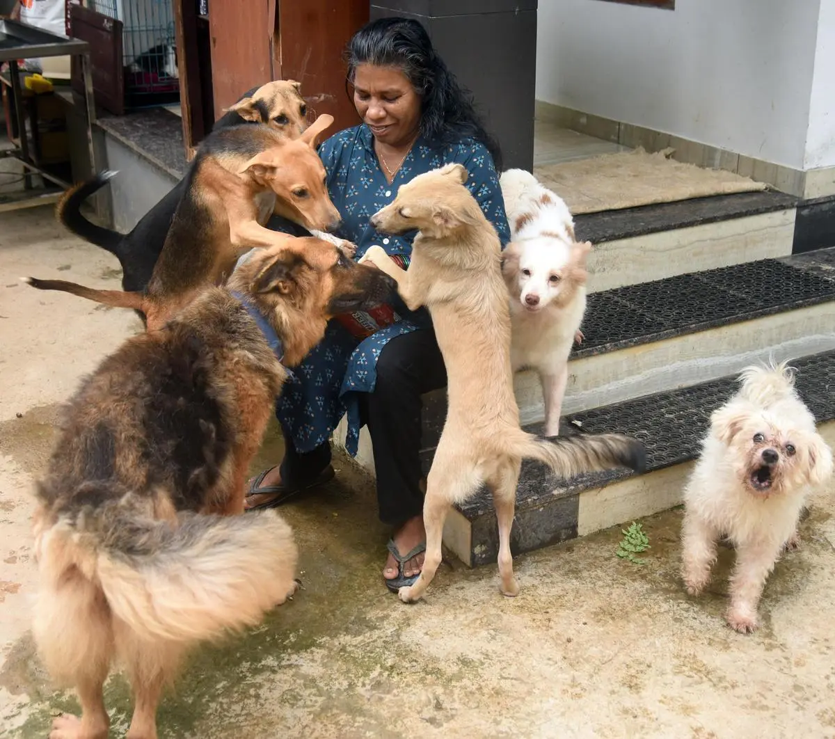 Kerala woman turns rented home into sanctuary for 46 dogs, 42 cats